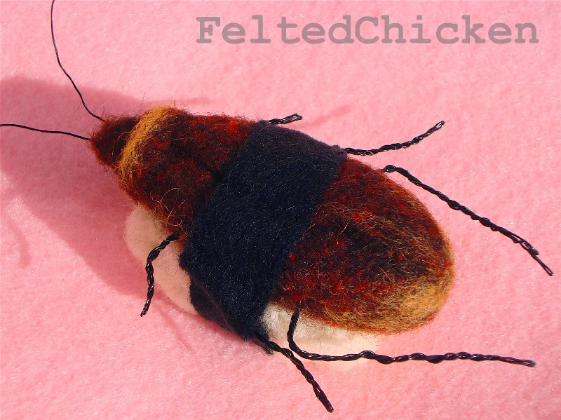 Handmade Cockroach Sushi - Who's Taking The First Bite?