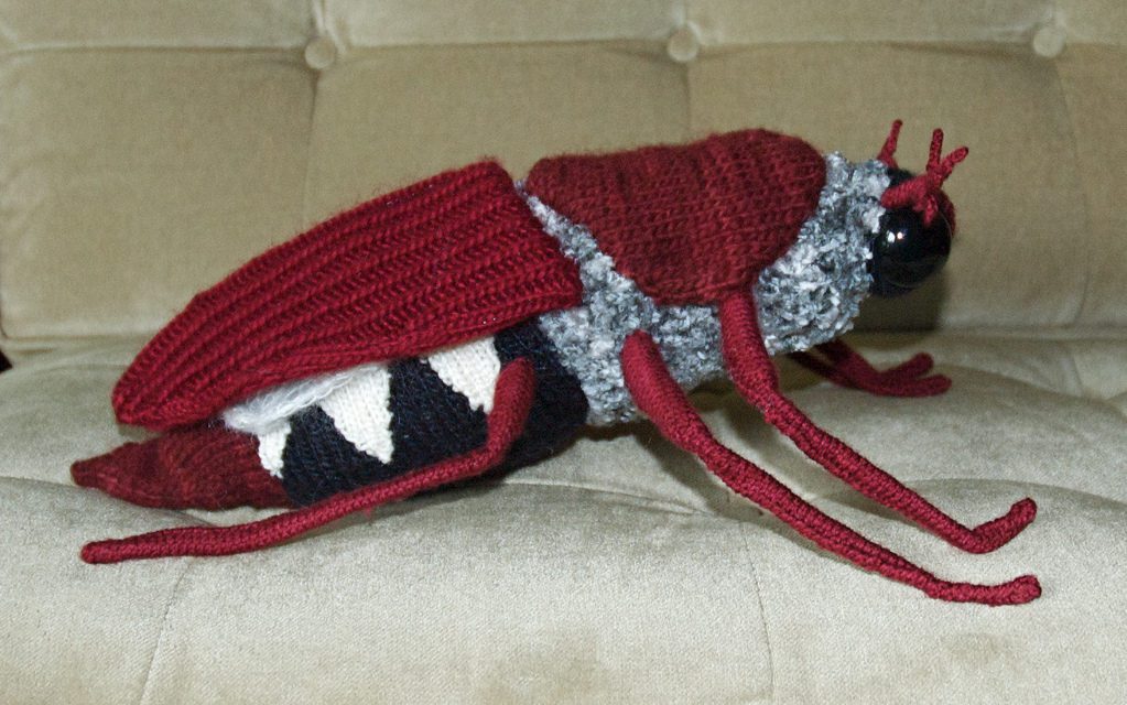 She Knit a Maikaefer Beetle for Art!