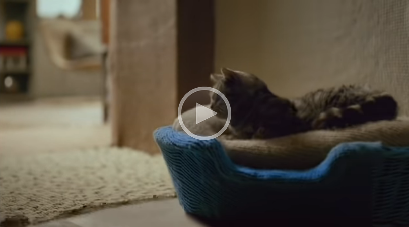 They Yarn Bombed The Whole House! Amazing Belgian Natural Gas Commercial … BONUS: Making Of Video!