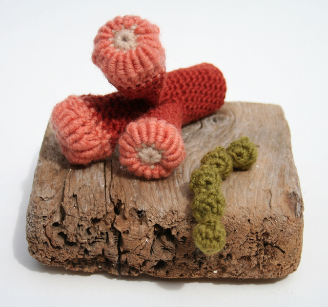 Amazing Anemone Crocheted By Helle Jorgensen