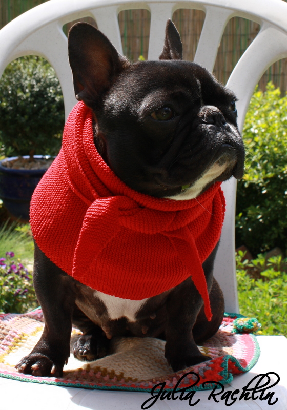 Every Good Dog Deserves a Good Knithack ...