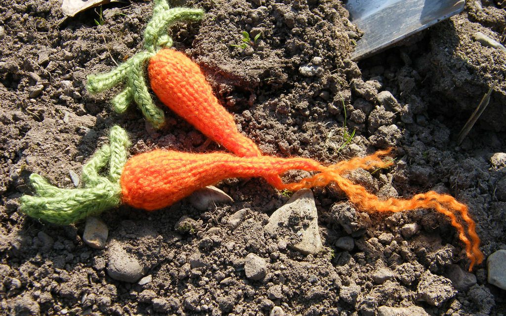 Knit a Carrot! Get the Pattern …