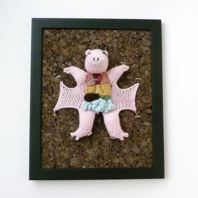 Knit a Dissected Fetal Pig - New Take On An Old Classic