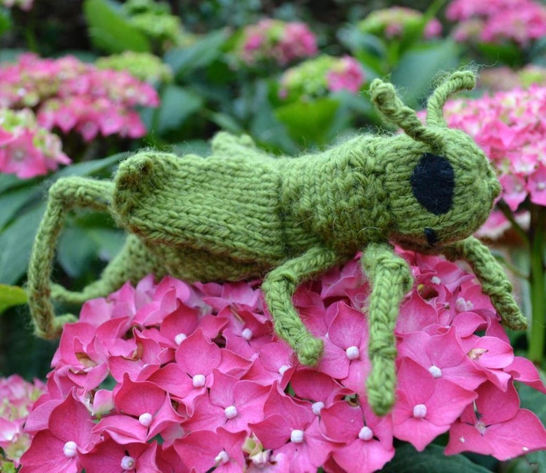 Get the knit amigurumi pattern, designed by Ginny of GinxCraft #knitting #amigurumi