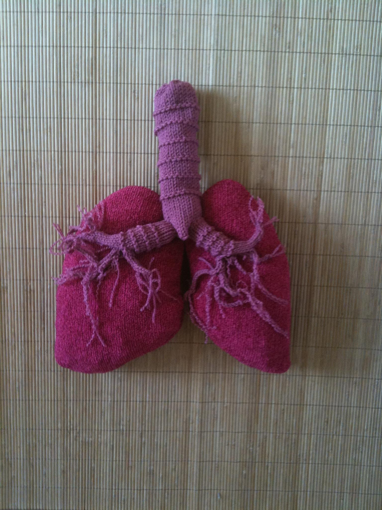 Awesome Knitted Respiratory System