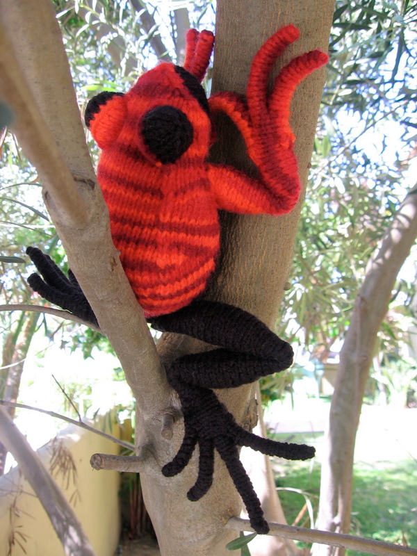 She Knit a Strawberry Poison Dart Frog - It's Huge! Get the Pattern