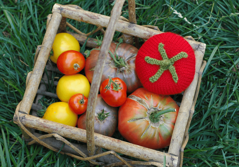 One of These Tomatoes Is Not Like The Others ... It's Knitted!