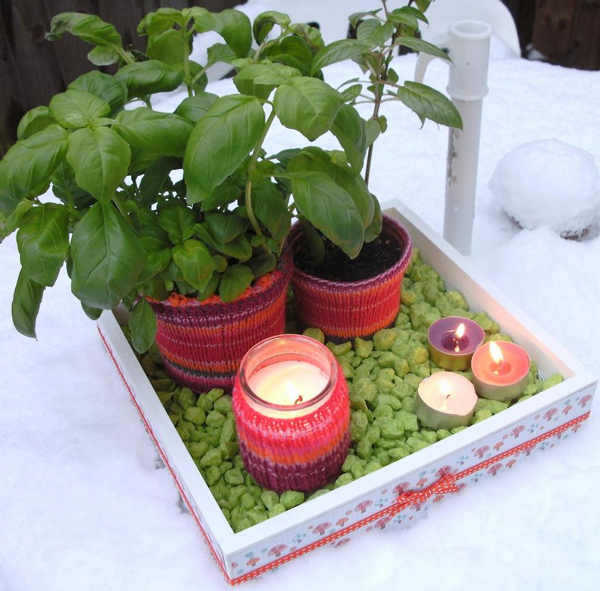 Cozy Plants in Cozy Knit Sweaters - a Picture Perfect Display