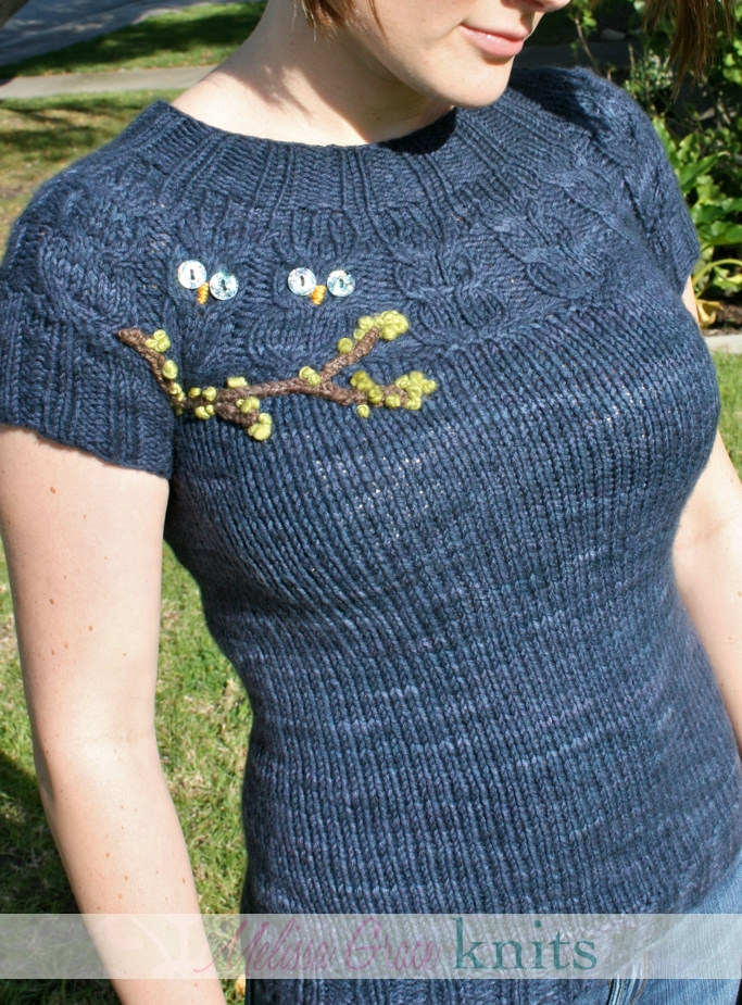 Custom Knit Sweater With Outstanding Owl Cable Design
