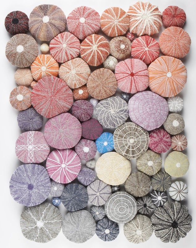 Hedgehogs of the Sea: Discover Patricia Bown's Beautiful Sea Urchins