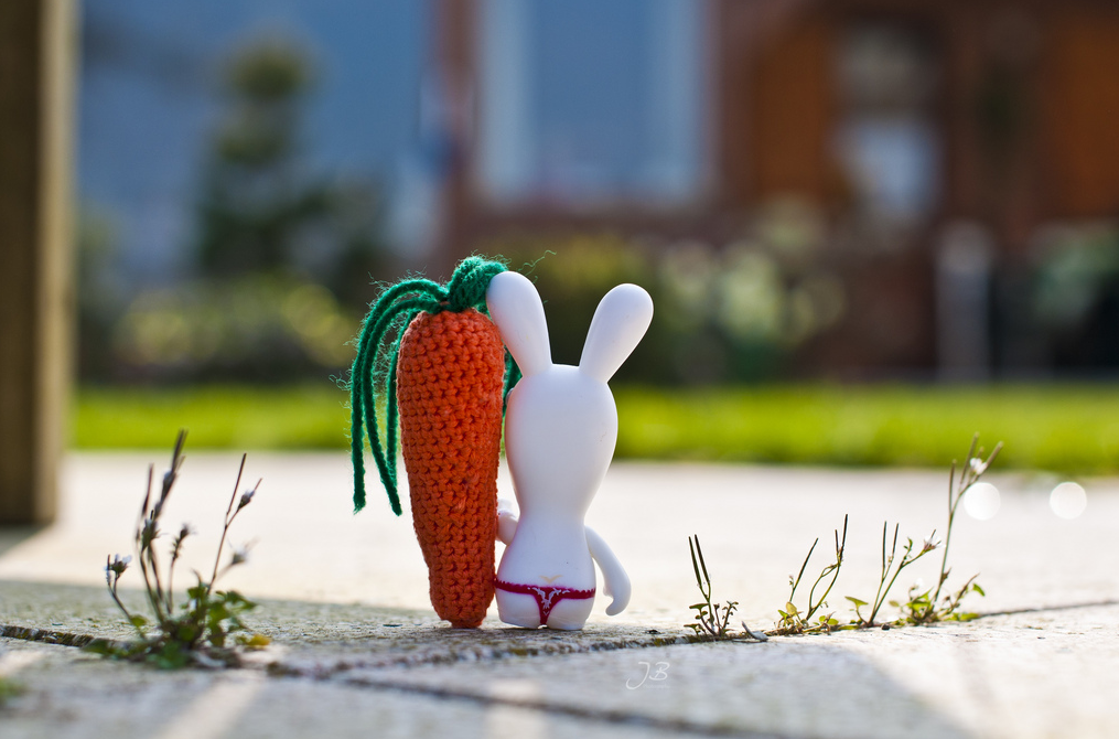 A Rabbit In A Thong And a Crochet Carrot Companion Walk Into A Bar ...