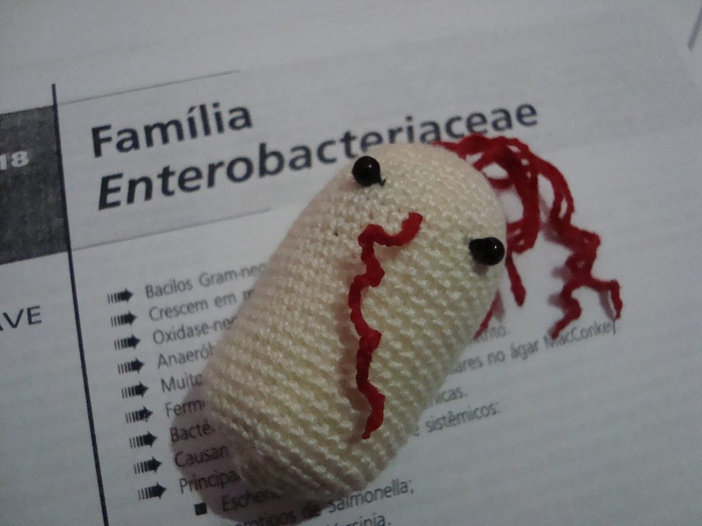 She Crocheted a Salmonella Amigurumi - One That Won't Make You Sick!