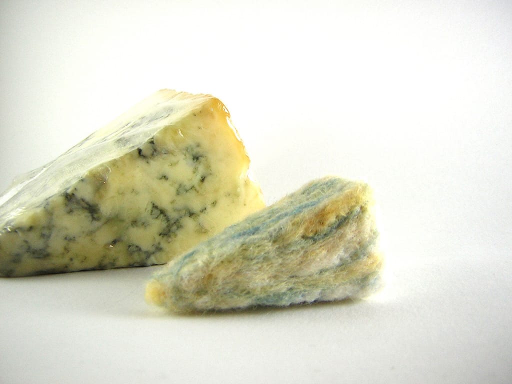 This Stilton Is Non-Perishable - It's Made With Wool!
