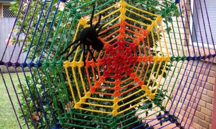 Jenny’s Giant Rainbow Spider Web Yarn Bomb