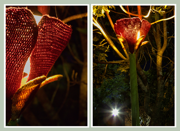 Lamp Post Yarn Bomb Spotted a Grahamstown Festival South Africa