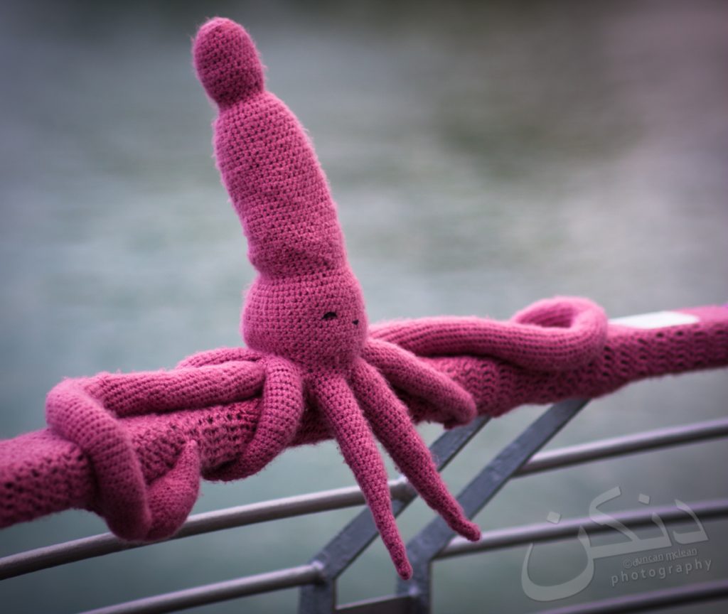 'Woolly-Walk-Along' - Fun Knit Installation Along Devonport Wharf