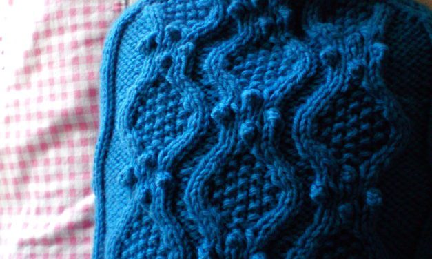 As Beautiful As a Hot Water Bottle Cozy Can Be – Plus a FREE Pattern!