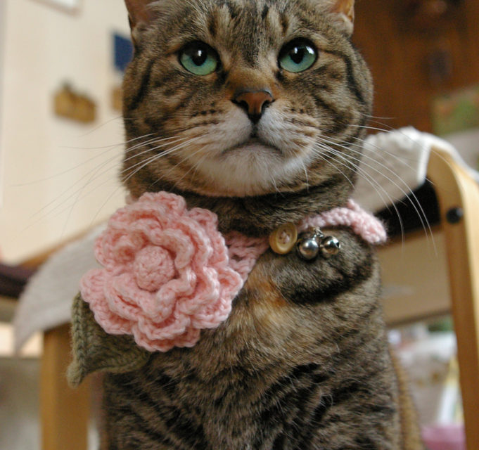 Kitty’s New Crochet Flower Necklace – So Sweet! Plus, Patterns To Make Your Own