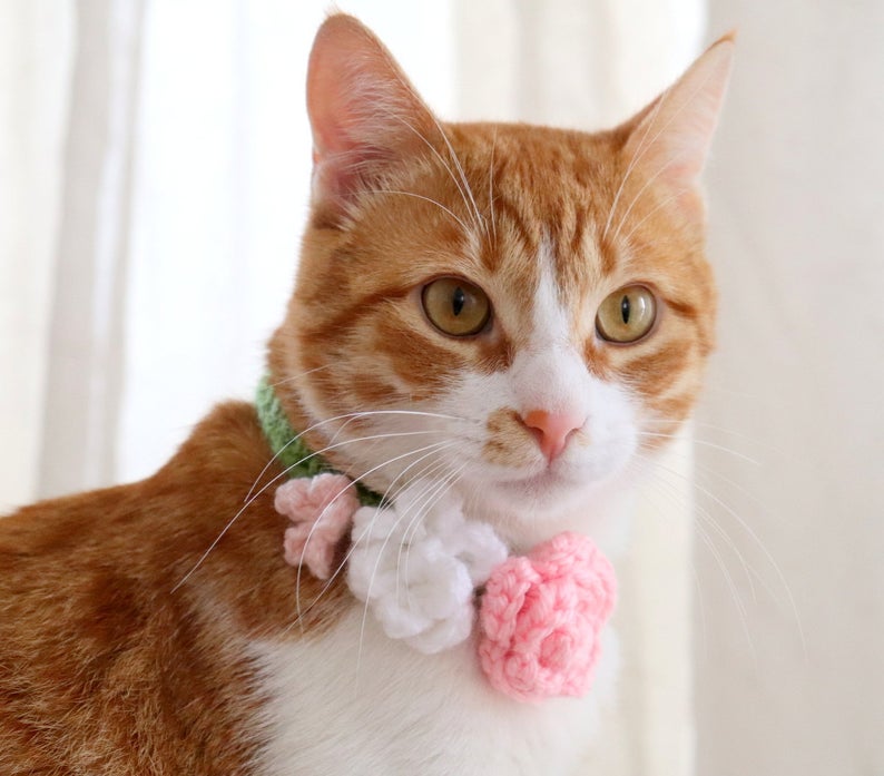 flower collar patterns for pets