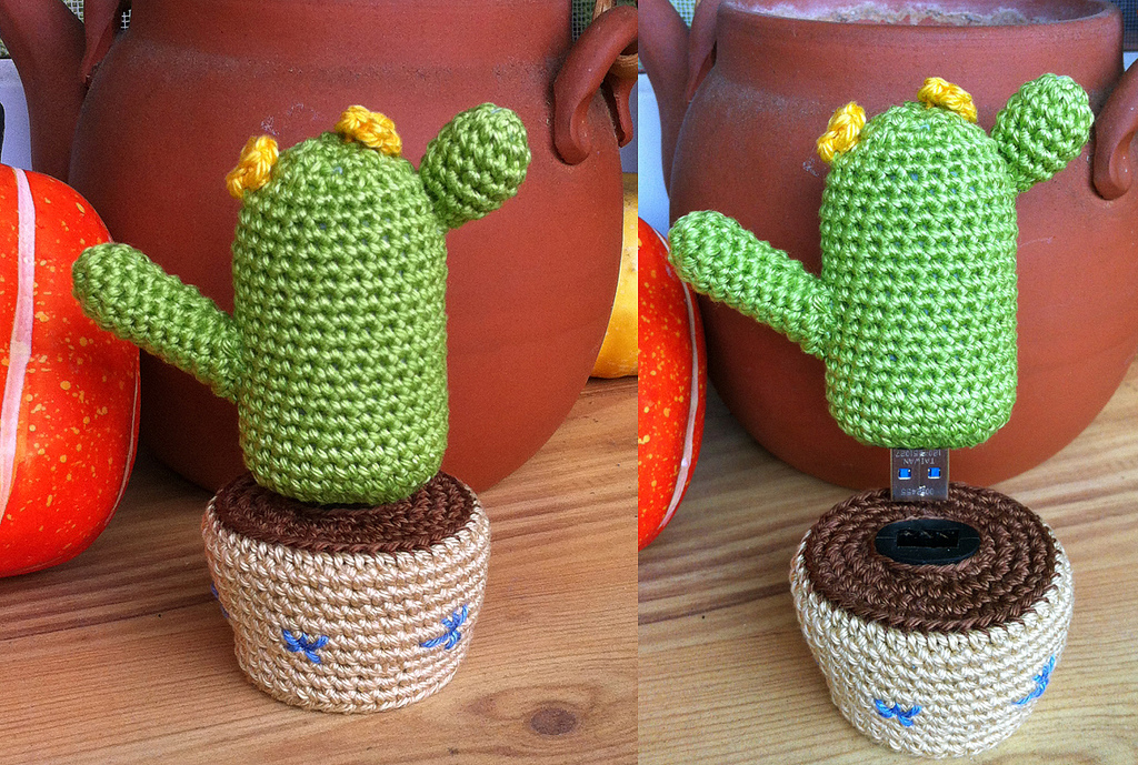 cactus usb