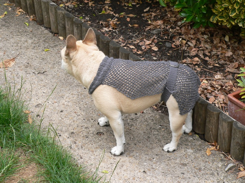 French Bulldog in Crochet Chainmail Armor - Medieval Cosplay Never Looked So Dear!