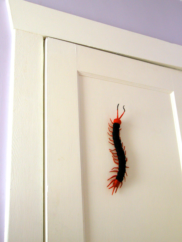 Oh No!!!! A Giant Centipede is in Hiné's Studio!!