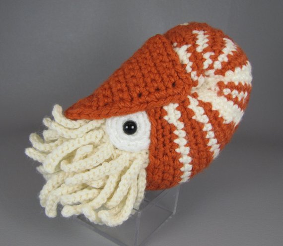 Get the pattern from edafedd