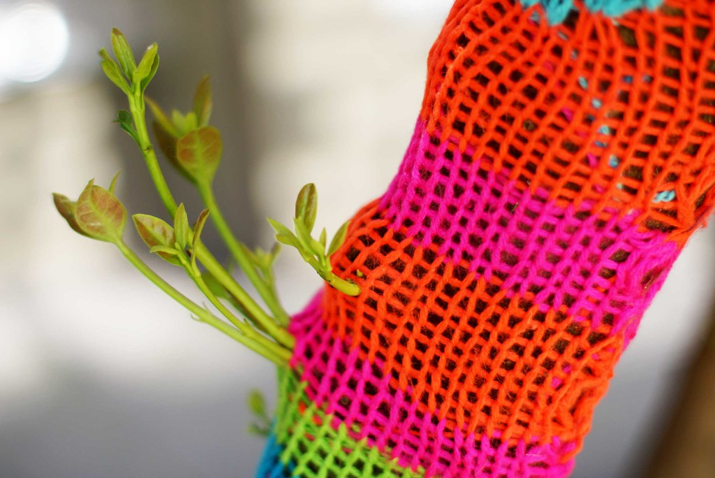 Gorgeous Photo: Regrowth on a Yarn Bomb