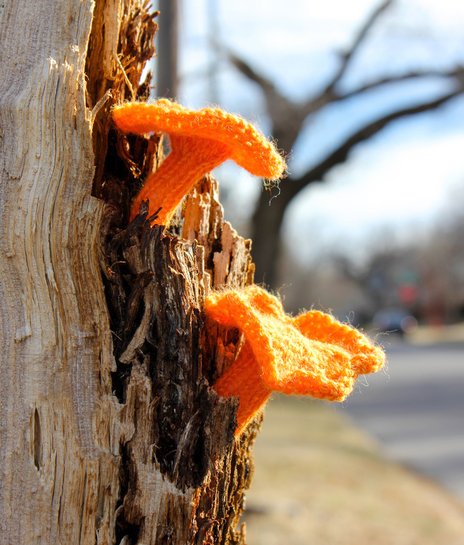 Knitted Jack O Lantern Fungus by Leigh Martin