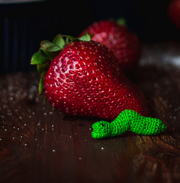 Micro Crochet Worm by Jill Watt