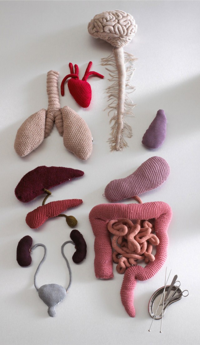 'Body Box' - Internal Organs Knit by Caroline Gates