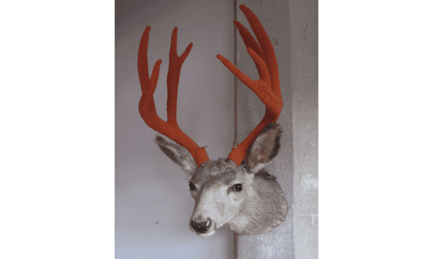 Amy Vogel’s Dollarville 8 Pointer … She Knit Antler Covers!