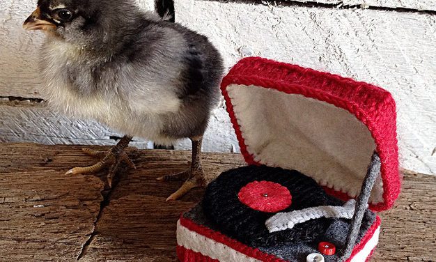 This Tiny Knitted Record Player Wins The Internet!