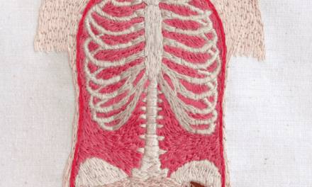 You Think It’s Just a Rib Cage, But Look Closer …
