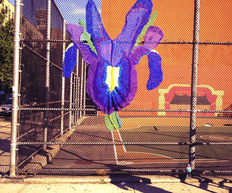 Naomi’s Wild Iris Yarn Bomb in East Harlem, NYC