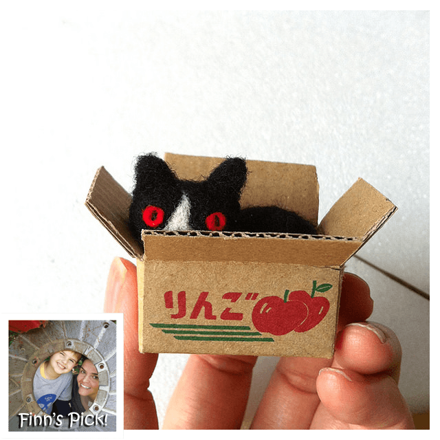 Finn’s Pick: Hiné Mizushima’s ‘Cat in a Box’