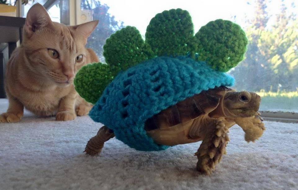 The Stegotortoise – Crochet Cosplay Is For Tortoises Too!