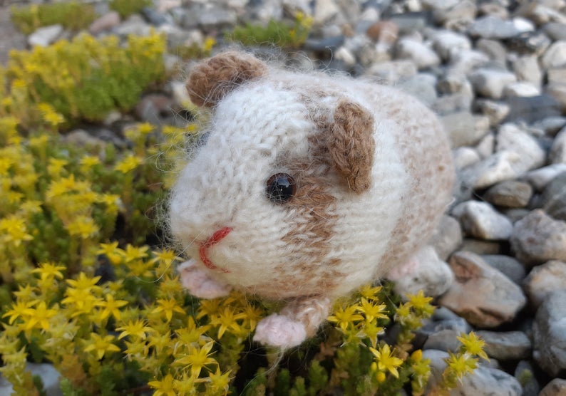 Knit & Crochet Guinea Piggy Patterns ... Finn Says Everyone Should Live Their Life The GUINEA PIG WAY!