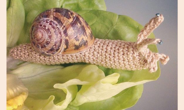 Crochet Snail Inside Real Shell By Amigurama