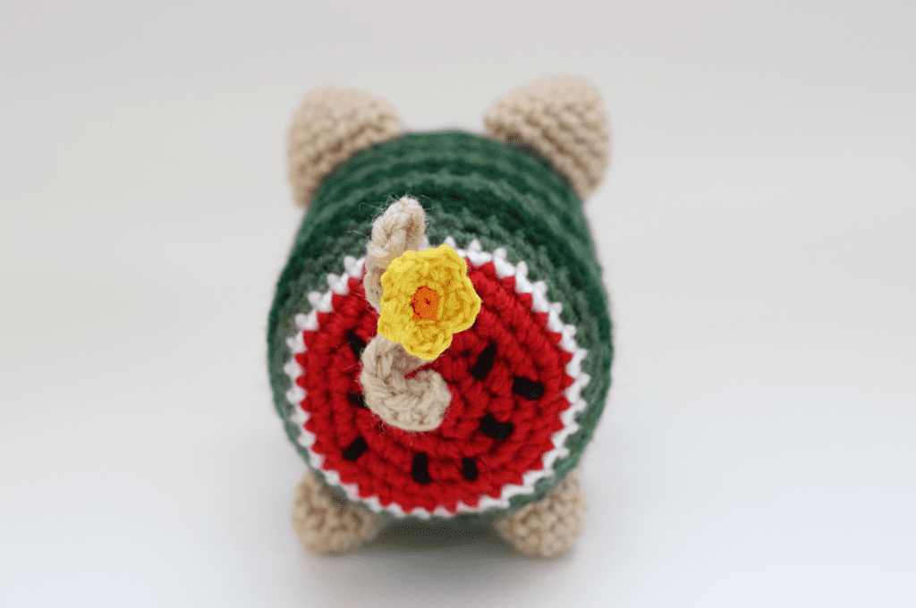 She Crocheted a Watermelon Poogie!