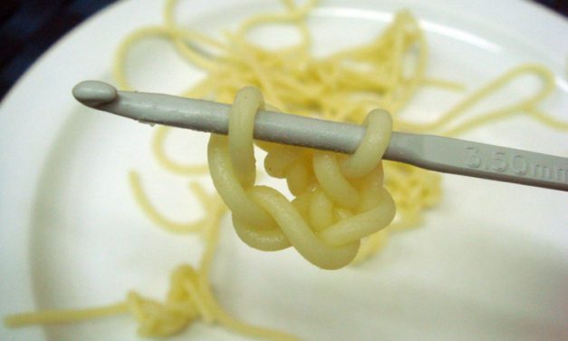 Remember When She Crocheted Her Spaghetti?