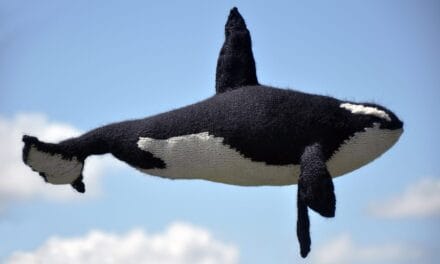 Then She Knit an Orca and You’ll Agree, It’s Monumental