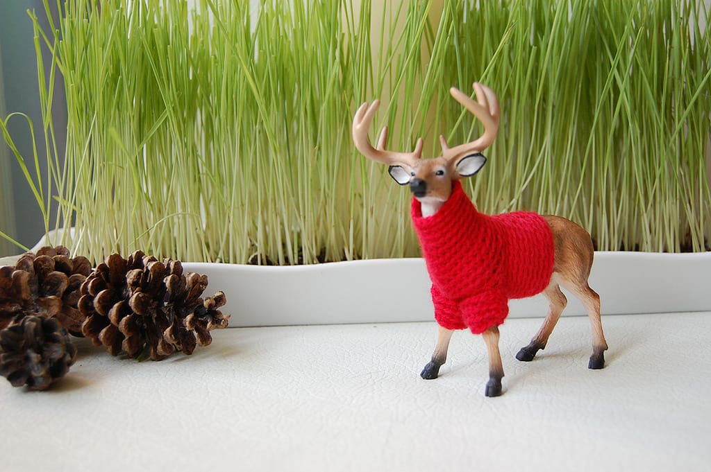 There's Something About This Tiny Reindeer in a Sweater ...