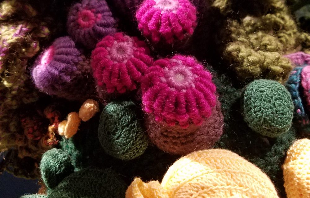 ‘Crochet Coral Reef: TOXIC SEAS’ at the Museum of Arts and Design (MAD) in New York City