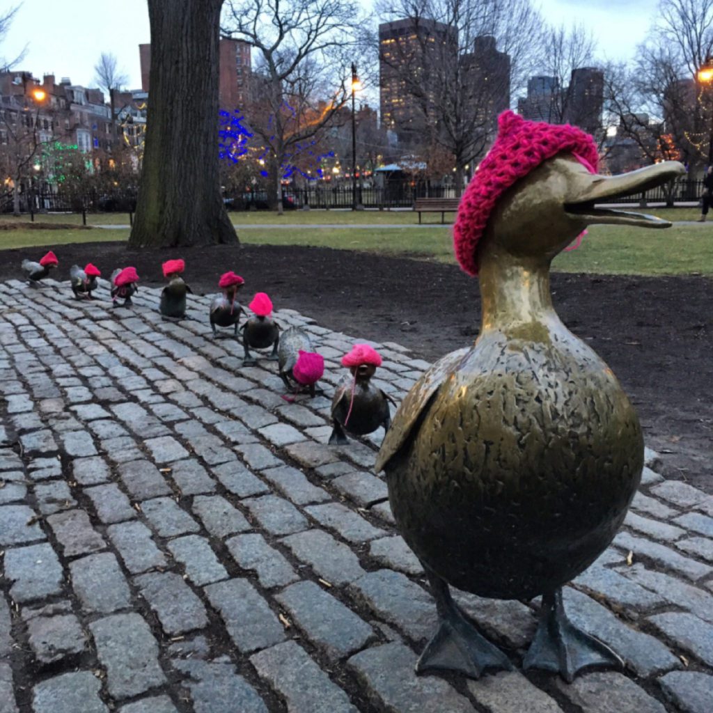 Ducks in Boston Put on Pussy Hats and March For Women's Rights