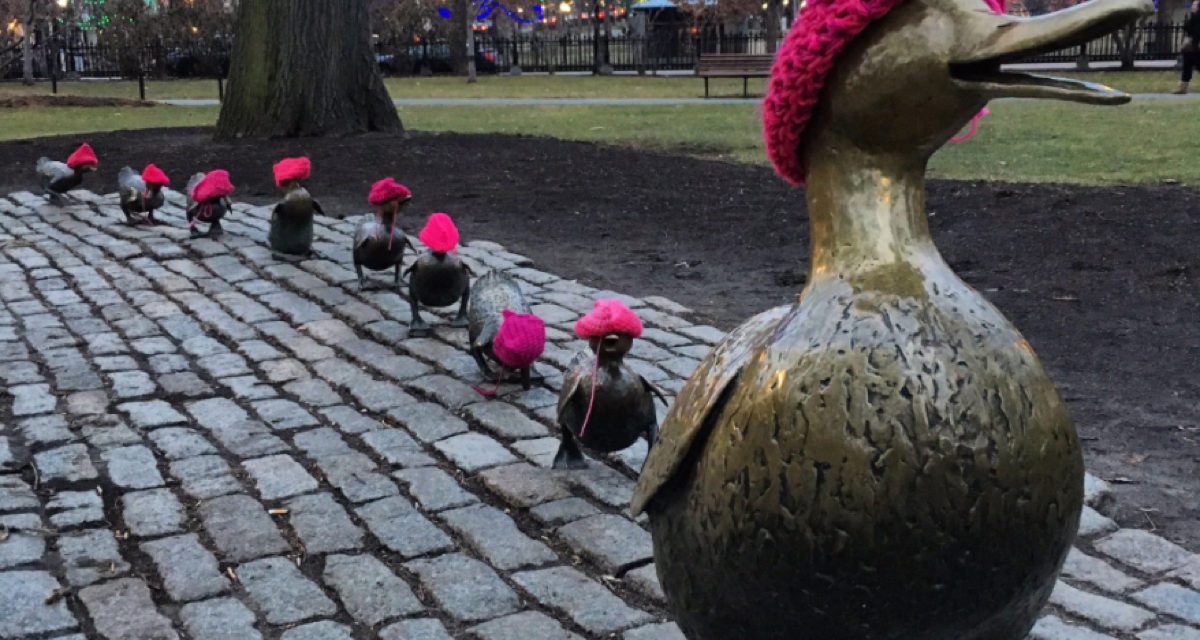 Ducks in Boston Put on Pussy Hats and March For Women’s Rights