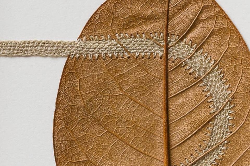Recent Piece From Leaf Artist Susanna Bauer – It’s a Delicate ‘Path’
