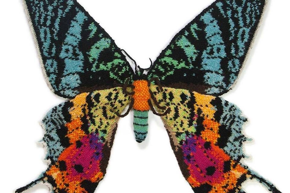 Max Alexander’s Knitted Madagascan Sunset Moth