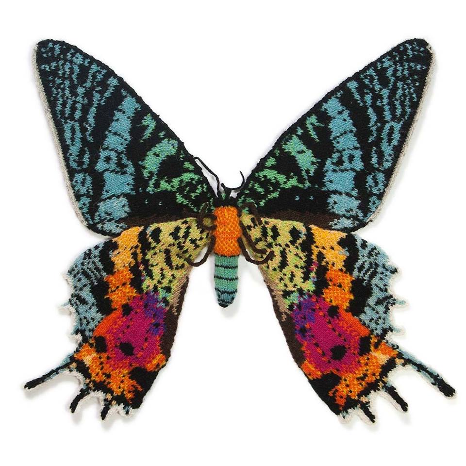 Max Alexander's Knitted Madagascan Sunset Moth