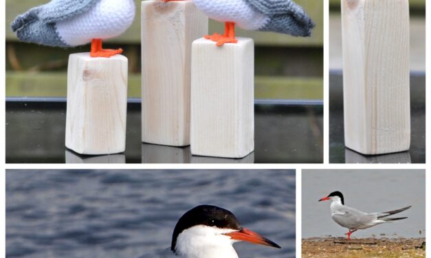 Finn’s Pick: Crochet a Common Tern Amigurumi – FREE Pattern